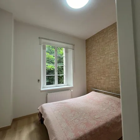 Appartement De Luxe Plein Centre Divonne-les-Bains Exterior foto